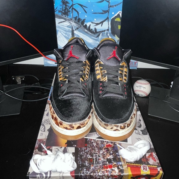 Jordan Other - Jordan 3 Animal Instinct